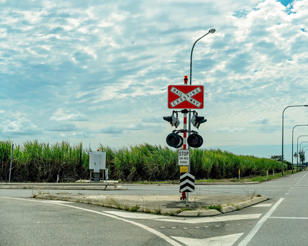 Railway crossing traffic lights on a country highway with a cane field in the background
