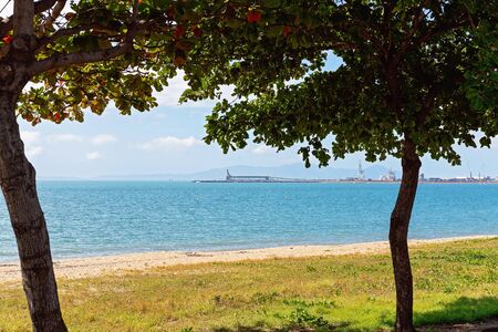 An industrial wharf framed by trees on the beachの写真素材
