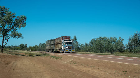 Undara to Townsville highway, Queensland, Australia - June 2020: Road train for transporting cattle...