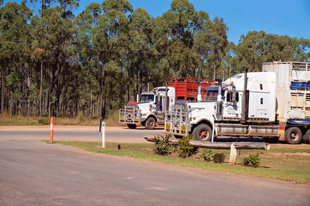 Townsville to Undara highway, Queensland, June 2020: Two road train trucks hauling livestock to...