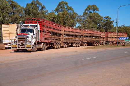 Townsville to Undara highway, Queensland, June 2020: Two road trains carting cattle to marketのeditorial素材