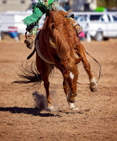 Cowboy competing in saddle bronc event at a country rodeo