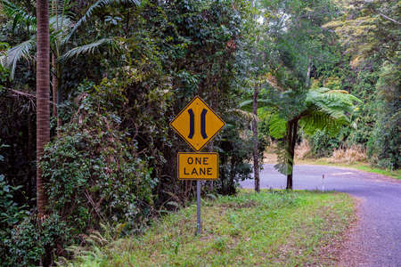 One lane ahead road sign indicating narrow access for passing through a rainforestの写真素材