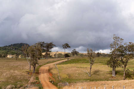 A winding rural dirt road leading through dairy properties in the mountains surrounded by tropical rainforestの写真素材