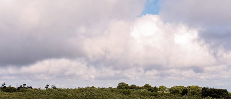 A cloudy sky over bushland on a windy day in the country