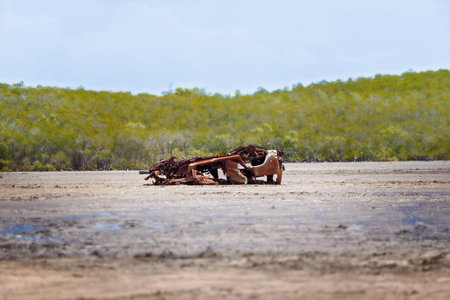 The rusted shell of an abandoned wreck of a car left out on the salt flats