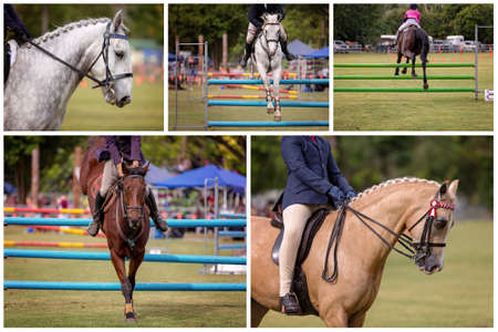 Collage of images of show jumping at an Australian country showの写真素材