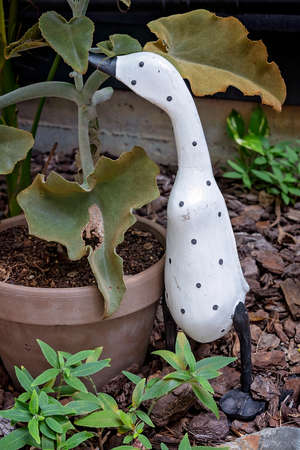 A black spotted white ceramic duck looking in a pot plantの写真素材