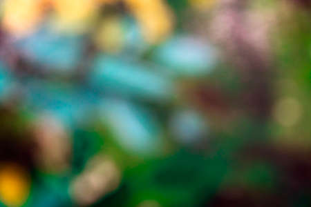 Blurred colorful abstract background for use as wallpaperの写真素材