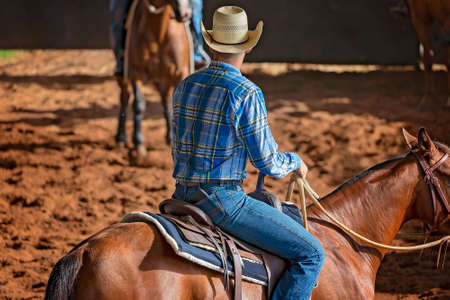 A horse and rider in a western style equestrian cutting competitionの写真素材
