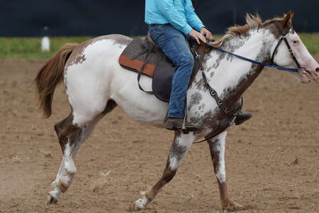 Close up of a horse being ridden by a cowboy in a rodeo eventの写真素材
