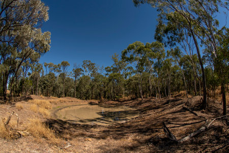 A small dam on the prospecting fields of outback Australia, fish eye lensの写真素材