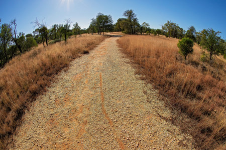A walking track through the bush in country Australia with sun flare, fish eye lens