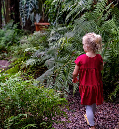 Mackay, Queensland, Australia - June 2021: A young girl walking on a path through the local botanic gardens exploring the floraのeditorial素材