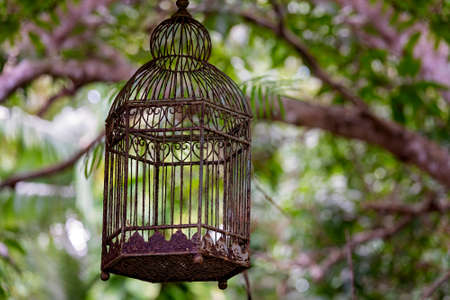 An empty rusted and dirty old bird cage hanging under a tree in a garden with filtered light backgroundの写真素材