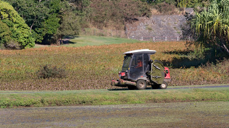 Mackay, Queensland, Australia - June 2021: A worker in the botanic gardens drives a mowing machine from one destination to another along a public footpathのeditorial素材