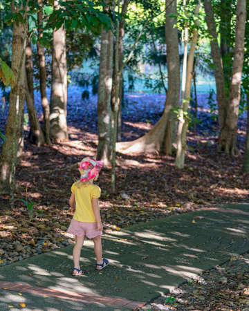 Mackay, Queensland, Australia - June 2021: A young caucasian child in shorts and a pink hat strolls amongst the trees in the botanic gardensのeditorial素材