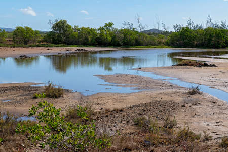 Water lying in a salt basin amongst a mud and mangrove environmentの写真素材