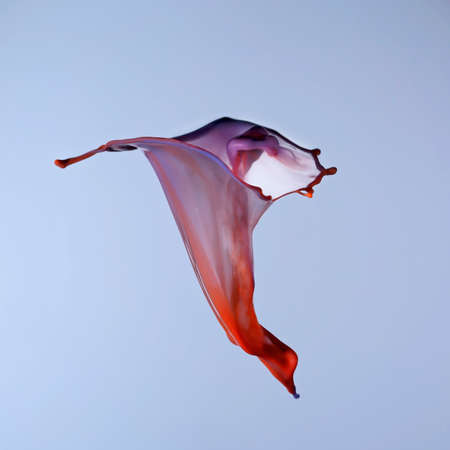 A flower shape in orange and blue on a blue background, water drop collision shooting from above and belowの写真素材