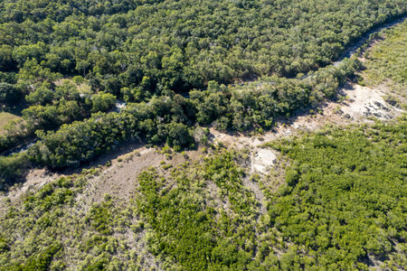 Aerial view over mangroves at low tide and beside a road on a tourist route to a beach. Cape...
