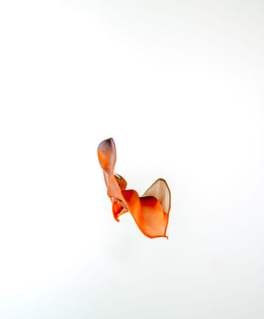 An orange splash on white background to layer, composite and blend with your own product images to...