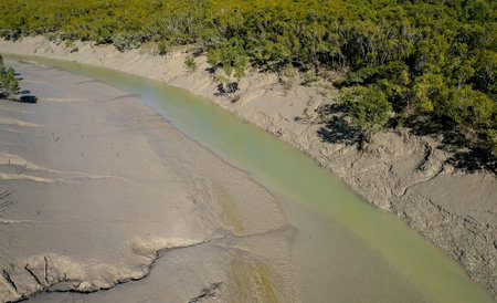 Aerial landscape of a muddy creek at low tide with some green colored water running between...