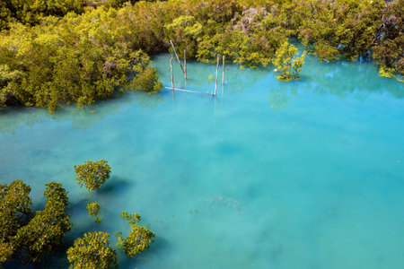 The turquoise blue still water of a bay with mangrove vegetation and the remains of an old boat...
