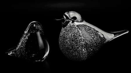 Colourful and artistically created glass birds against a black backgroundの写真素材