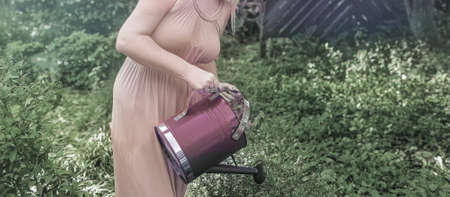 Young woman in pink dress watering plants in a garden in late afternoon lightの写真素材
