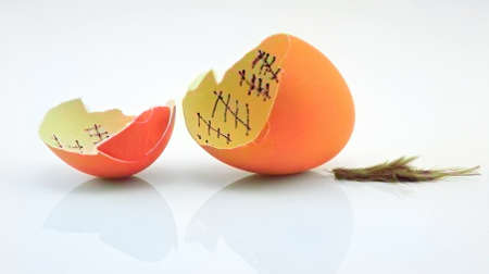 The chicken has counted down the days and finally escaped the egg, leaving behind only a featherの写真素材