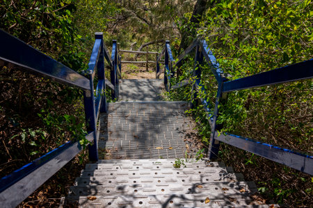 Steel steps through native vegetation down to the beachの写真素材