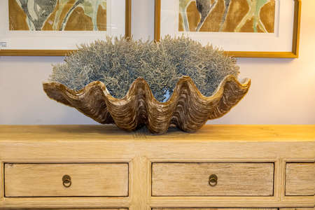 Townsville, Queensland, Australia - November 2021: A huge shell holding artificial fern for sale in a home decorating storeのeditorial素材