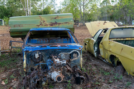 The rusting shells of old cars left dumped in a rural backyard