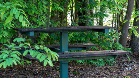 Old leaf strewn picnic setting closely surrounded by native vegetation in an outdoor setting