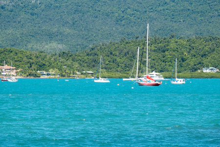 Airlie Beach, Queensland, Australia - January 2022: Yachts anchored in the bay against a tropical forest background at popular beach townのeditorial素材