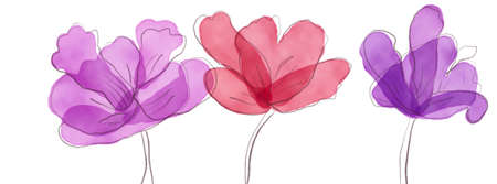 Three hand drawn watercolor purple and red flowers. Profile page shape for social media. Illustrative background.の写真素材