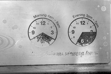 Tourist information sign indicating the best time to view the illusive platypus in a national park.