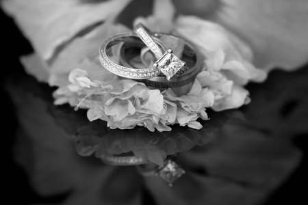 Wedding rings on an hibiscus flower, with a reflection on the black surfaceの写真素材