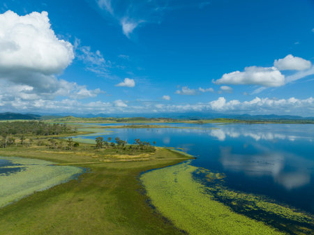 Drone aerial above a patch of land in a dam surrounded by aquatic plants and cloud reflections on...