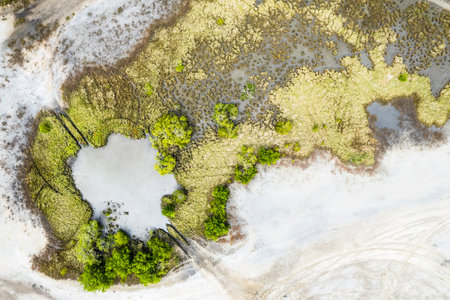 Overhead drone view of salt flats vegetation with tyre marks from cars and motor bikes . Interesting green and yellow vegetation.の写真素材