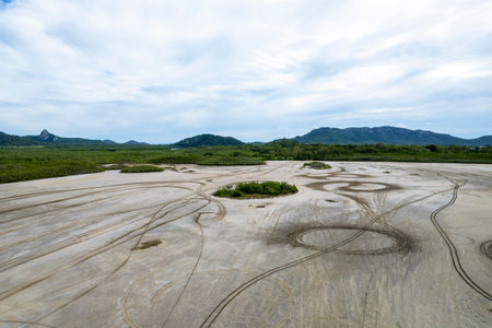 Aerial landscape by drone over salt pans dry lake bed with tyre tracks from vehicles forming...
