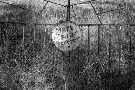 Sign on a fence prohibiting entry. Gate is rusted and yard is filled with grass, home abandoned....
