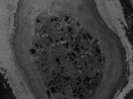 Straight down view of a patch of land in a dam surrounded by aquatic plants. Drone Aerial Landscape.