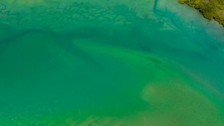 Low water of the incoming tide showing the beautiful green tones and the golden sands. Tropical Queensland Australia.の写真素材