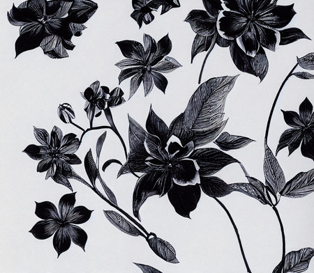 Line art drawing illustration, black and white with crisp lines. Creative flowers.の写真素材