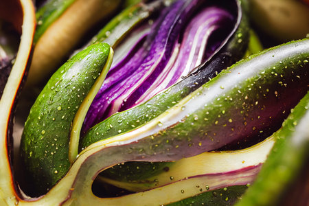 Vegetable illustration of the unusual fiddle heads and eggplant. The deep rich colors of fruit and vegetables, containing antioxidant properties for a healthier youの写真素材