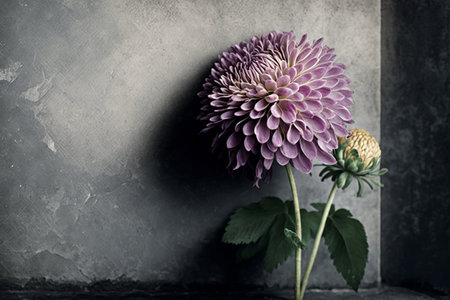 Illustration of a wallflower created with generative Aiの素材