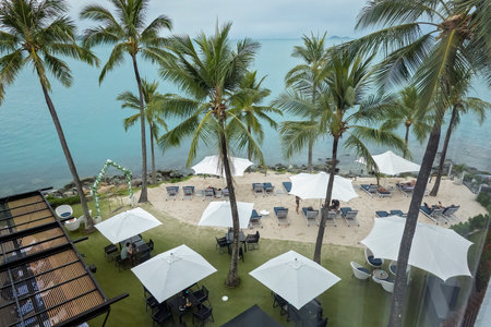 Airlie Beach, Queensland, Australia - April 2023: Looking down onto the umbrellas and sand pit area amongst palm trees on the waters edge of Coral Sea Resortのeditorial素材