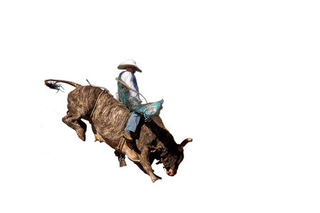 A cowboy competing in a bull riding event at a country rodeo, isolated on white background, room for...