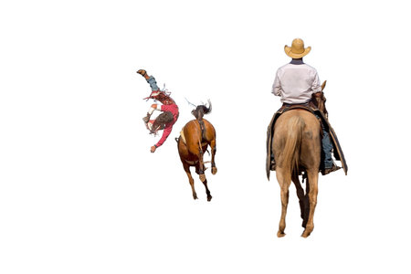 A bucking bronc wild horse riding event at a country rodeo, isolated white background, room for text, copy spaceの写真素材